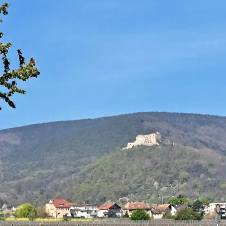 Grasmueck
